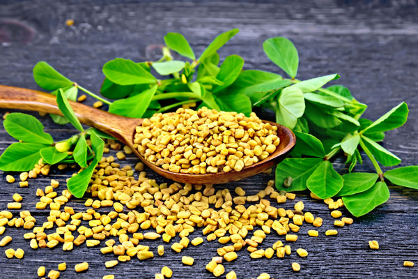 Methi Seeds as an Effective Ingredient in Haircare